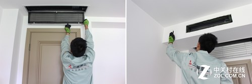 ж(ni)CVW(wng)L(fng)